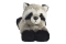 Aurora MF RASCAL RACCOON