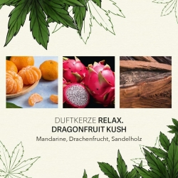 Candle Brothers Duftkerze CBD Relax Dragon Fruit Kush 350g