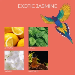 Frida Kahlo Duftkerze - La Belle vie, Exotic Jasmine 3er Set