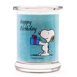 Peanuts Thekendisplay 12 x 250g