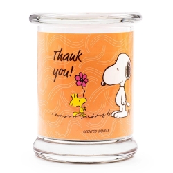 Peanuts Thekendisplay 12 x 250g