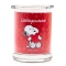 Peanuts Thekendisplay 12 x 250g