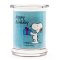 Peanuts Thekendisplay 12 x 250g