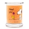 Peanuts Thekendisplay 12 x 250g
