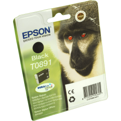 Epson Tinte C13T089140 schwarz T0891