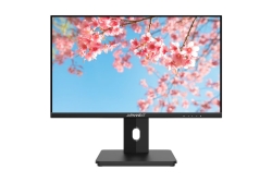 JAPANNEXT 54,6cm JN-I215FLFHSP-C65W 16:9 HDMI/USBC FHD
