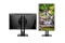 JAPANNEXT 60,5cm JN-IPS2382FHDR-HSP 16:9 HDMI/VGA FHD
