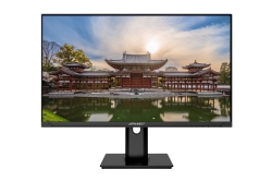 JAPANNEXT 60,5cm JN-IPS238FHDR-C65W-HSP 16:9 HDMI/DP FHD