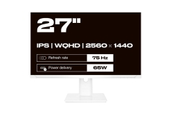 JAPANNEXT 68,6cm JN-IPS270WQHD75F-C65W-HSP-W HDMI/DP WQHD