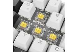Sharkoon Gaming Tastatur Skiller SGK50S4 Gen2 weiß-gelb RGB