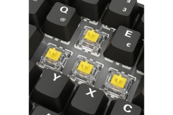 Sharkoon Gaming Tastatur Skiller SGK50S4 Gen2 PBT scw-gelRGB