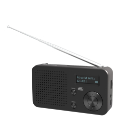 TELESTAR TOP 100 Schwarz DAB+Radios Portable Radio