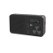 TELESTAR TOP 100 Schwarz DAB+Radios Portable Radio