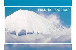 JAPANNEXT 60,5cm JN-I238FHD120F-HSP-YE 16:9 HDMI gelb FHD