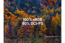 JAPANNEXT 60,5cm JN-I238FHD120F-HSP-YE 16:9 HDMI gelb FHD