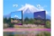 JAPANNEXT 60,5cm JN-I238FHD120F-HSP-YE 16:9 HDMI gelb FHD