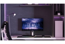 JAPANNEXT 62,2cm JN-IPS245G320F-HSP 16:9 HDMI/DP FHD
