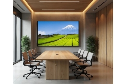JAPANNEXT 139,7cm JN-IPS550UHD60F 16:9 3x HDMI UHD