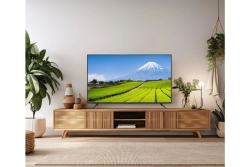 JAPANNEXT 139,7cm JN-IPS550UHD60F 16:9 3x HDMI UHD