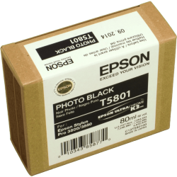 Epson Tinte C13T580100 foto schwarz T5801