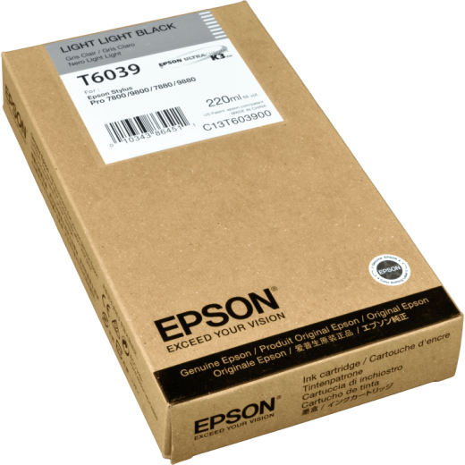 Epson Tinte C13T603900 light light black T6039