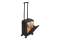 Riva Handgepäck Clark 28L schwarz 8181