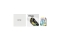 Zotac RTX 5060 Twin Edge OC White 8GB GDDR7 HDMI 3xDP