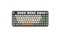 ASUS KD201 Jelly Tastatur mechanisch Orange Meadow
