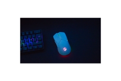 Speedlink Gaming Maus VELOX, aufladbar, kabellos, RGB, ws retail