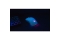 Speedlink Gaming Maus VELOX, aufladbar, kabellos, RGB, ws retail