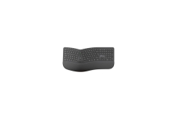 MediaRange ergonomische Multimedia Funk-Tastatur,QWERTZ, sw