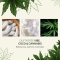 Candle Brothers Duftkerze CBD Vibe Coco & Cannabis 350g