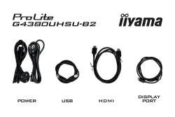 IIYAMA 108cm (43) G4380UHSU-B2 16:9 2xHDMI+2xDP+4xUSB