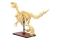 Jamara CaDA Dinosaurier Fossil Velociraptor Bricks 8+
