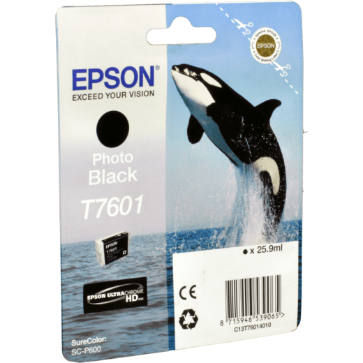 Epson Tinte C13T760140 foto schwarz T7601