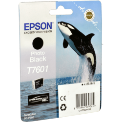 Epson Tinte C13T760140 foto schwarz T7601