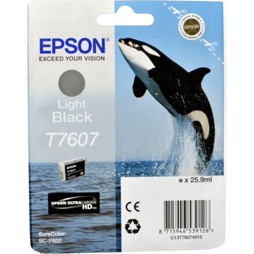 Epson Tinte C13T760740 light black T7607