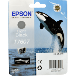 Epson Tinte C13T760740 light black T7607