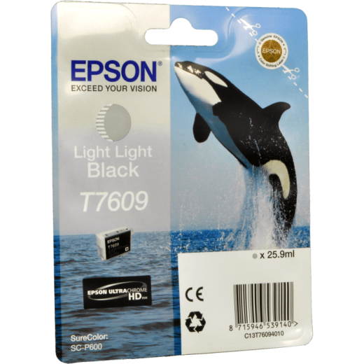 Epson Tinte C13T760940 light light black T7609