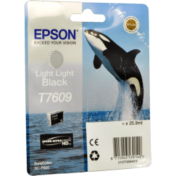 Epson Tinte C13T760940 light light black T7609