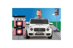 Jamara Blitzer Traffic Flash