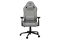 COUGAR Gaming-Stuhl Explore Royal Ash F