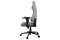 COUGAR Gaming-Stuhl Explore Royal Ash F