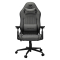 COUGAR Gaming-Stuhl Explore Royal Gray F