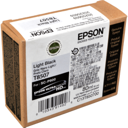 Epson Tinte C13T850700 light black T8507