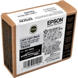 Epson Tinte C13T850900 light light black T8509