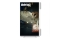 BenQ 80,0cm EW3290U 16:9 USB-C/HDMI bk. lift/piv spk UHD