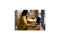 3M Bright Screen Blickschutzf. 14,5 Laptop (16:10) BP145W1B