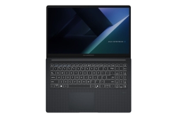 ASUS ExpertBook B1 15.6 C5-210H 8/256 B1503CVA-S76994 ohne OS