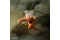 ABYstyle Figur ONE PUNCH MAN - Figurine Saitama